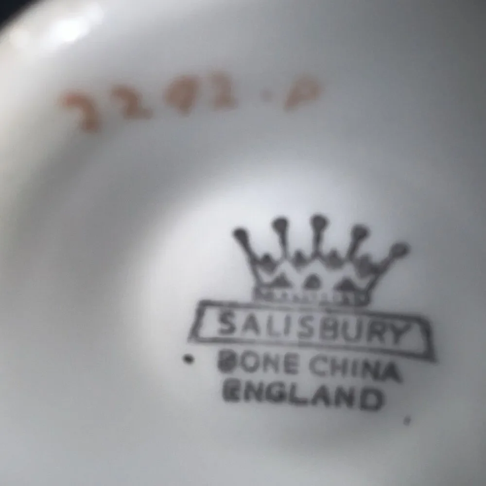 Salisbury Bone China Teacup & Saucer  Multicolor Floral England 2292